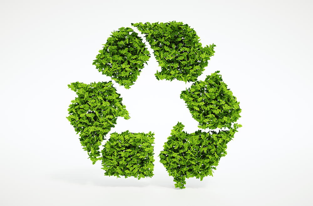 Das Recycling logo berankt mit Eichenblättern
