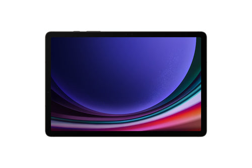Samsung Galaxy Tab S9 | 256GB | Wi-Fi  |Graphite | WIE NEU